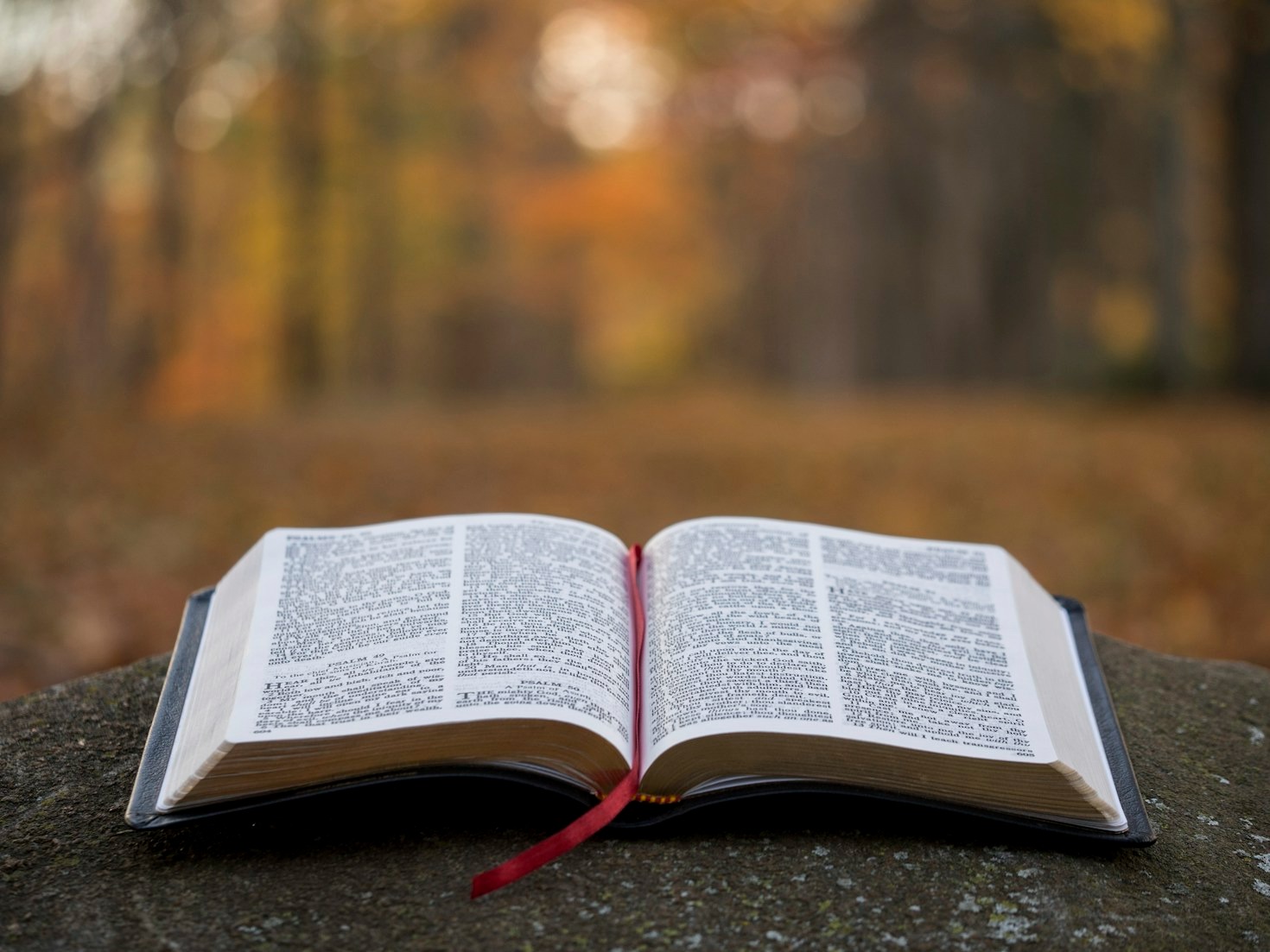 Theologische Diskussionen: Brücken statt Mauern